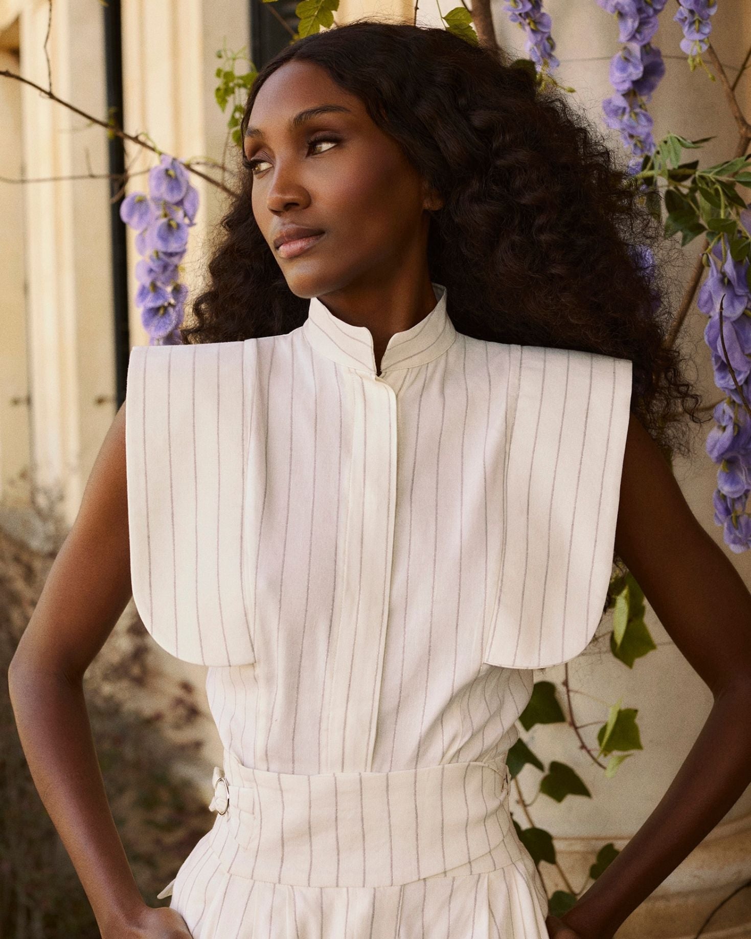 CAMISA SILVER CARRIAGE The IQ Collection