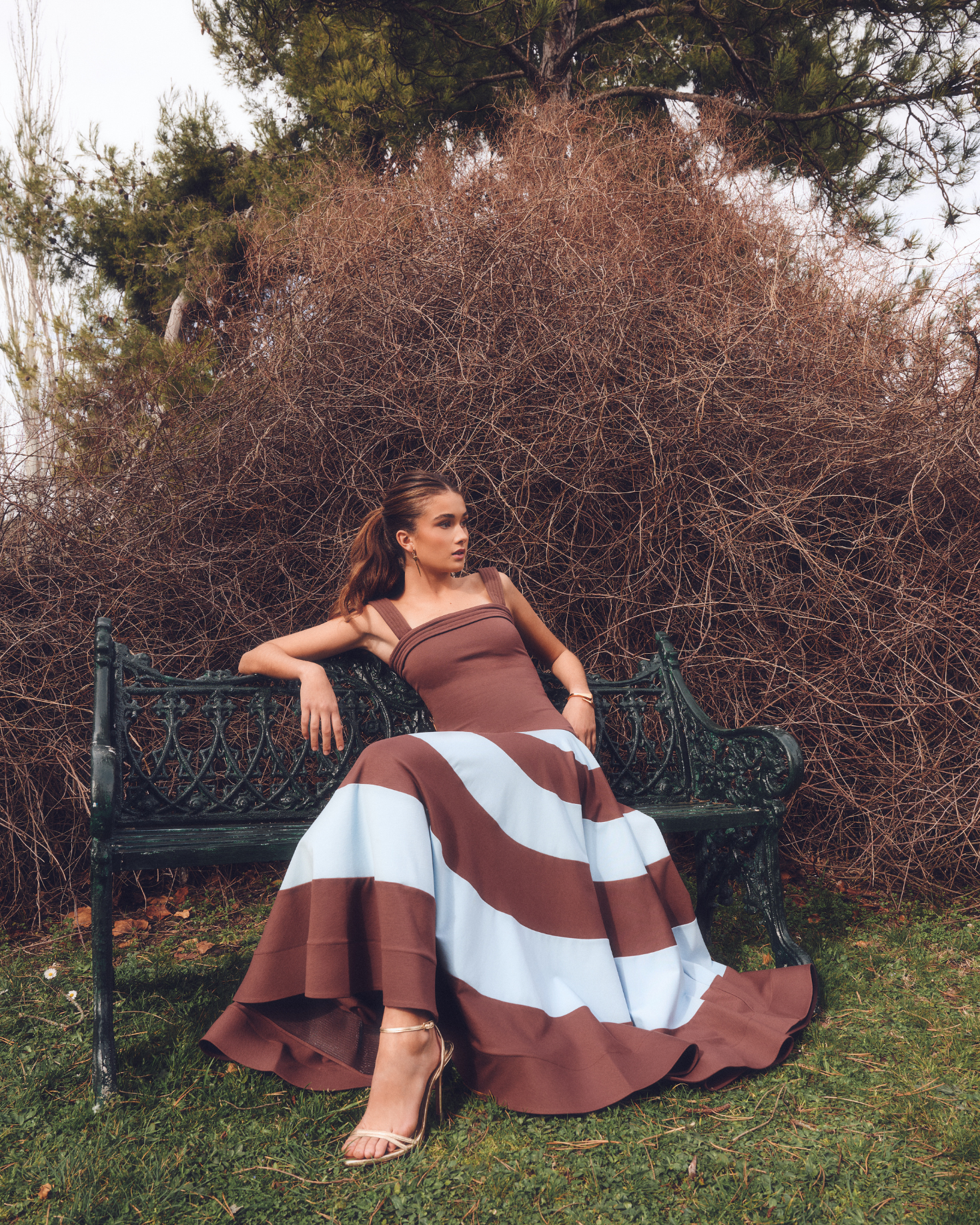 010 The IQ Collection