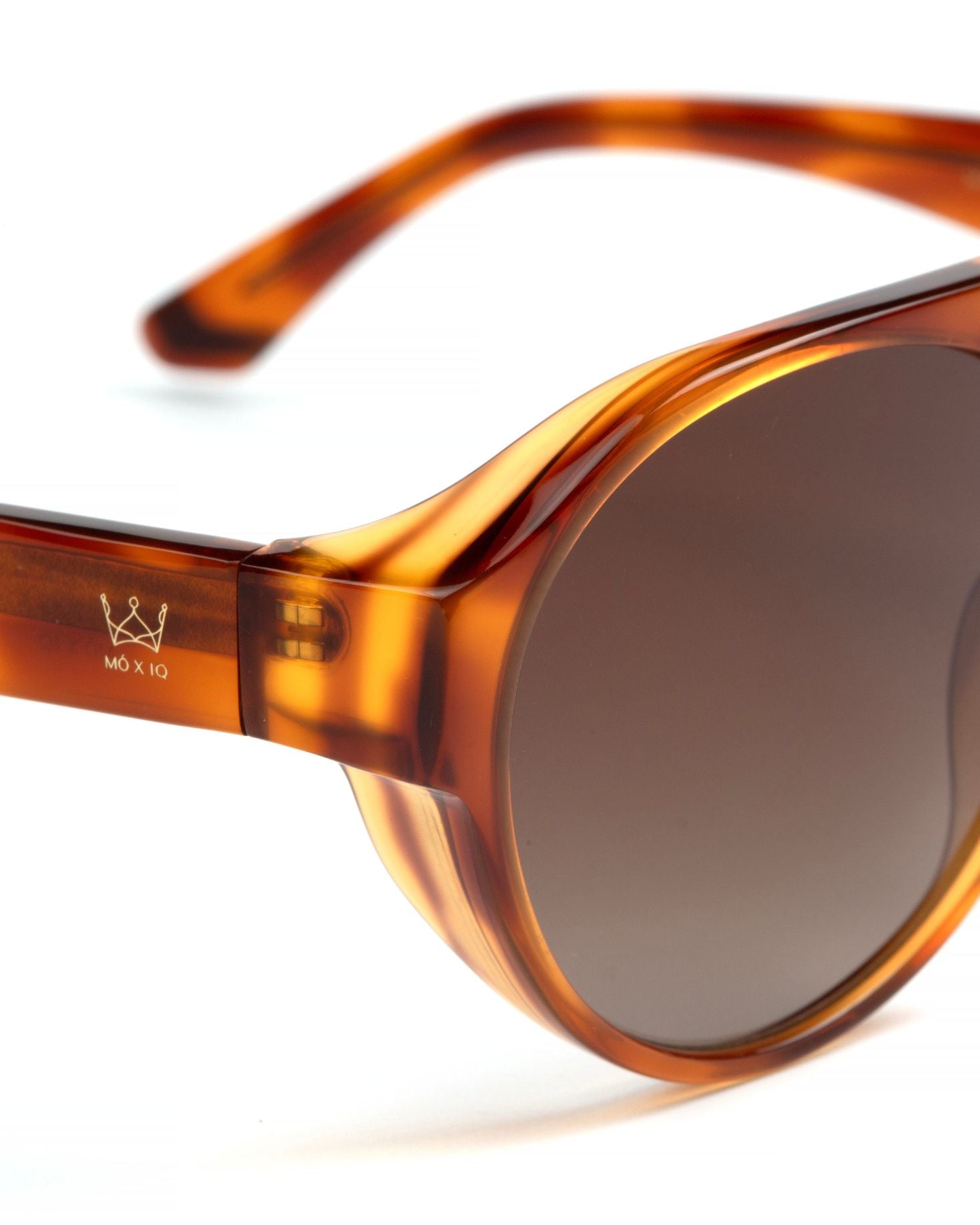 GAFAS DE SOL JUANA CAREY The IQ Collection