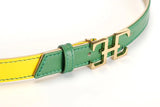 CINTURÓN VERSO HEBILLA ÚNICA AMARILLO Y VERDE The IQ Collection