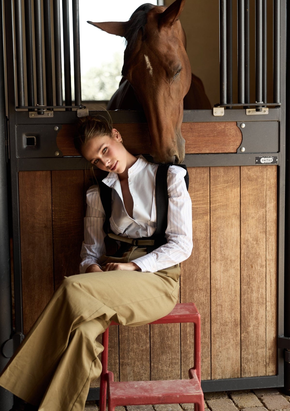 CAMISA WALTON RAYAS The IQ Collection