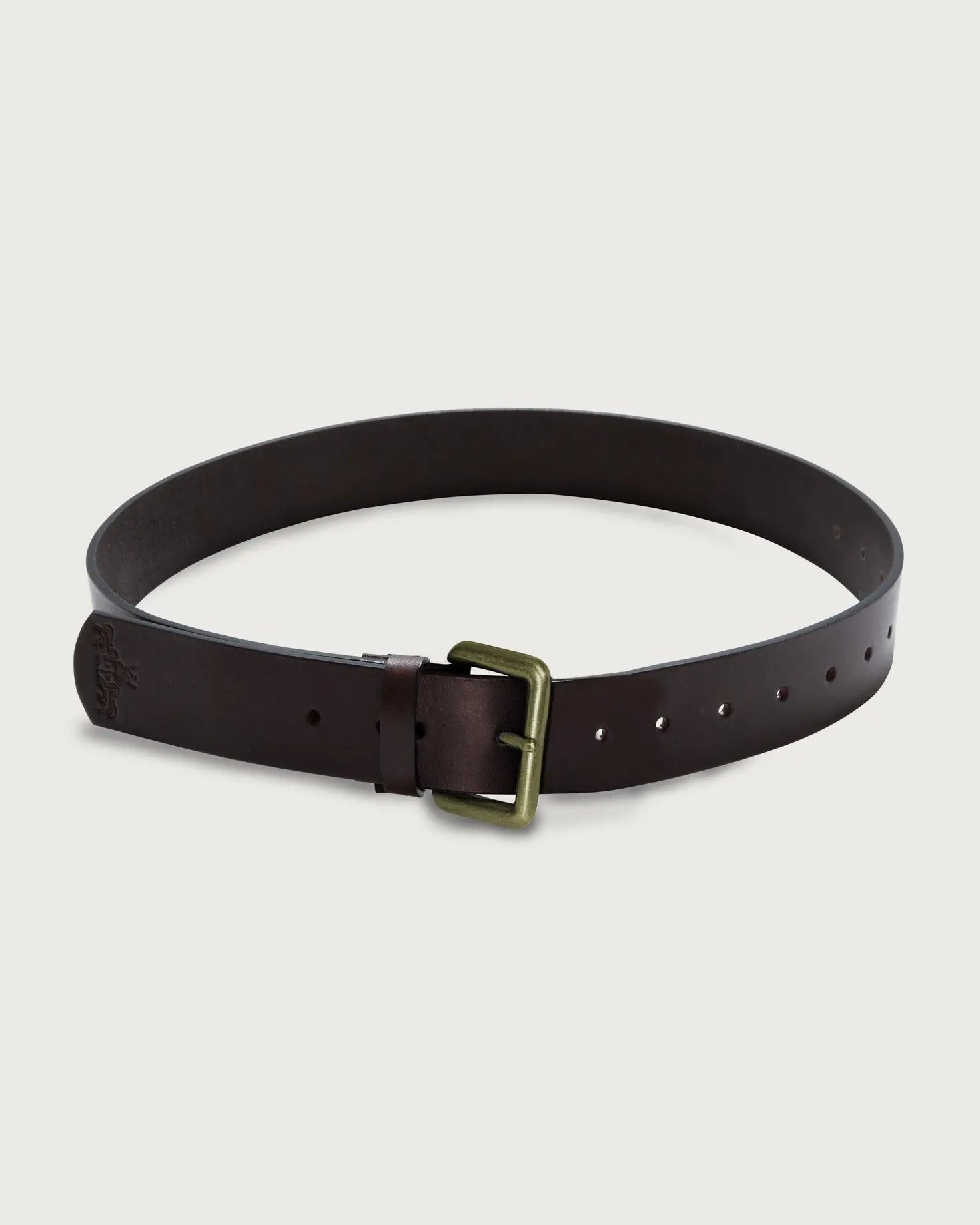 CINTURON JACINTA CHOCOLATE The IQ Collection